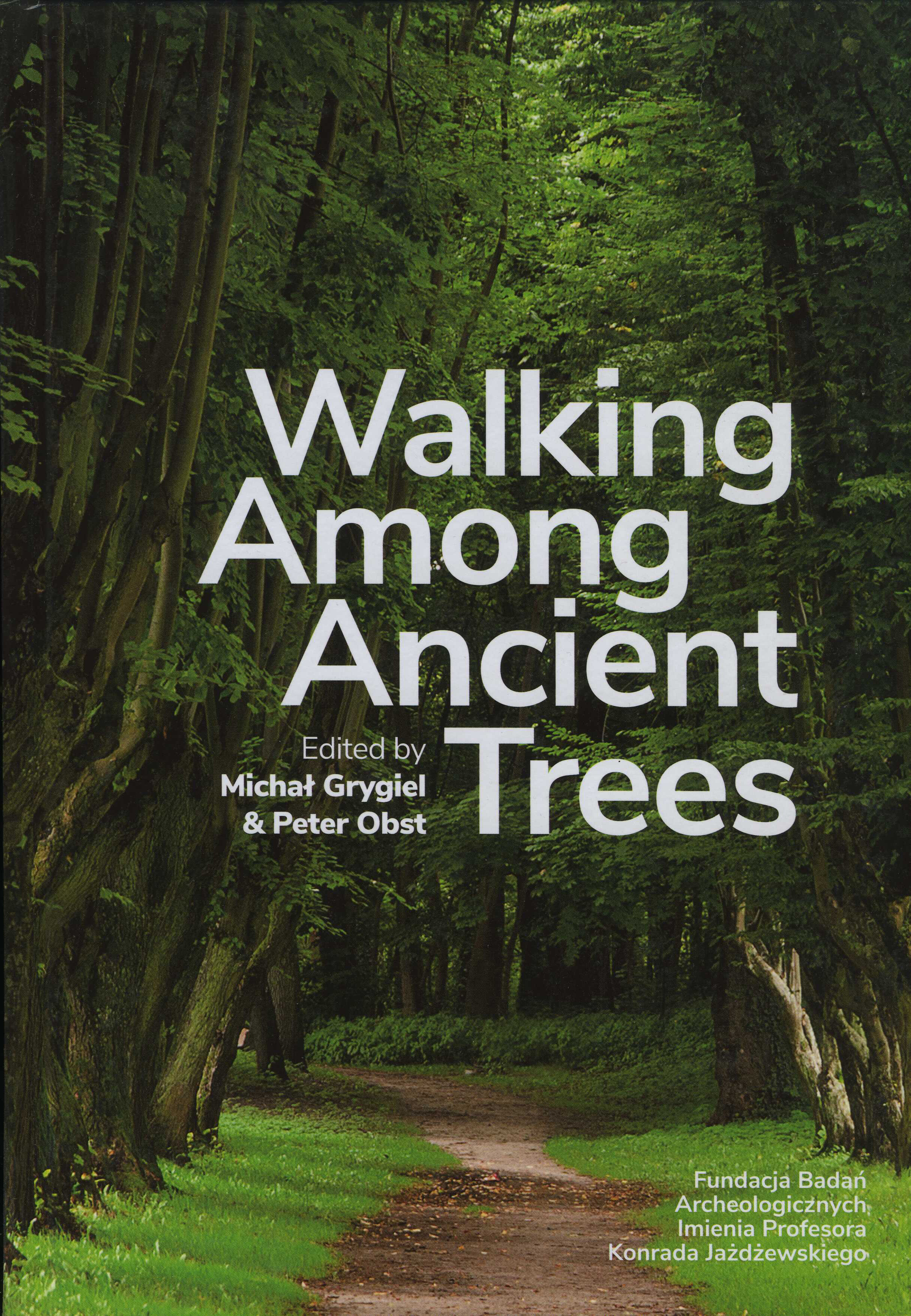 Walking Among Ancient Trees
